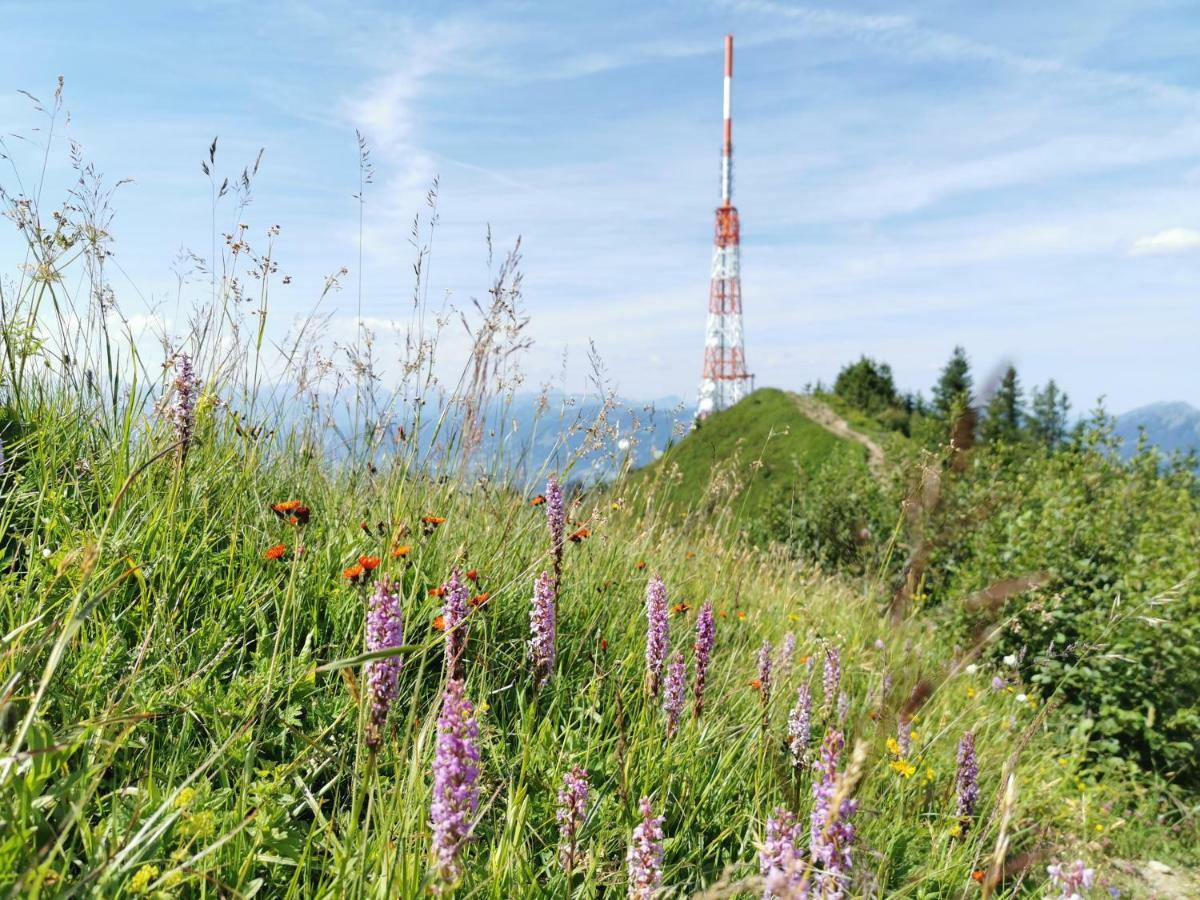 Ferienwohnung Am Eichwald Immenstadt im Allgäu Εξωτερικό φωτογραφία